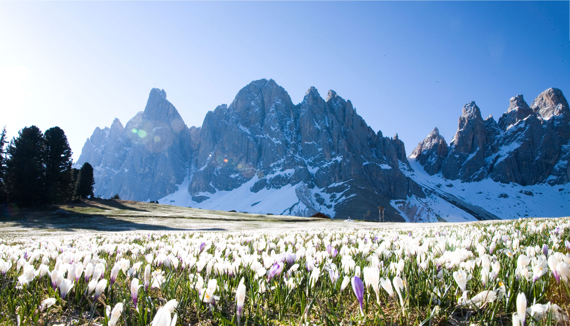 Angebot Fruehling Villnoess